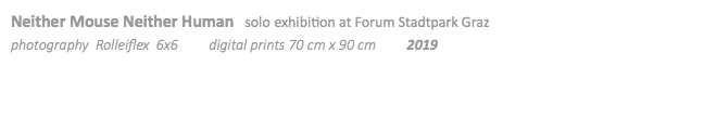 Neither Mouse Neither Human solo exhibition at Forum Stadtpark Graz photography Rolleiflex 6x6 digital prints 70 cm x 90 cm 2019